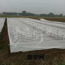 隽格 养殖防逃网 青蛙泥鳅养殖网蚂蚱养殖网棚