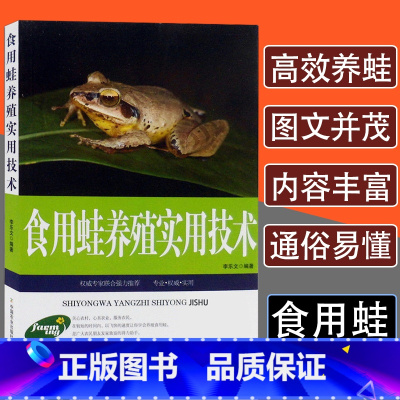《【正版】食用蛙养殖实用技术常见疾病鉴别诊断及治疗牛蛙石蛙林蛙书籍稻田养殖蜉化学饲养实例青蛙生态养殖养殖食用技术书用疾断》无