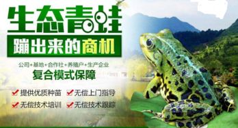 牛蛙养殖报价 厂家