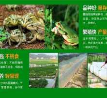 高清图片