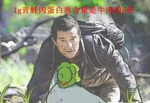 我行由我 刷爆朋友圈的 旅行青蛙 去过的景点,居然是在这里