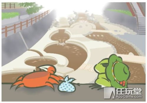 为了一只青蛙,我放弃了四个爱我的男人