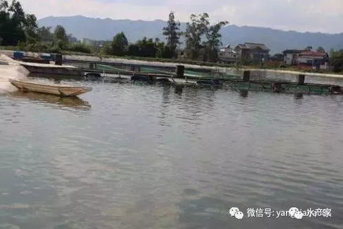 一只青蛙都这么努力,而我们水产人比青蛙更努力.....
