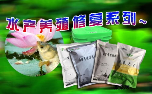 圣洁青蛙水产养殖生态修复系列