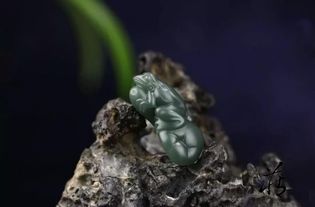 朋友圈流行晒蛙,他却养了只不一样的玉青蛙