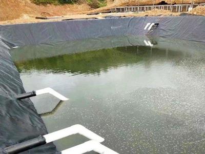 厂家生产销售土工膜 养虾养鱼用防水膜土工膜 鱼塘养殖防渗土工膜 藕池防渗HDPE膜 包施工