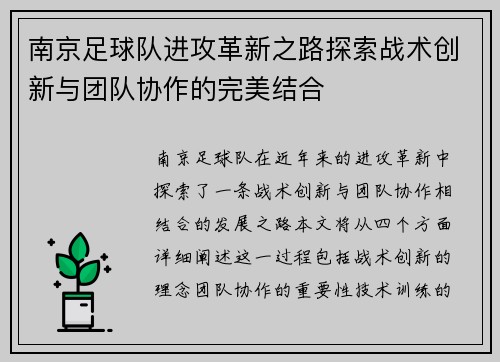 南京足球队进攻革新之路探索战术创新与团队协作的完美结合