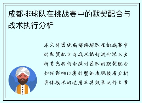 成都排球队在挑战赛中的默契配合与战术执行分析